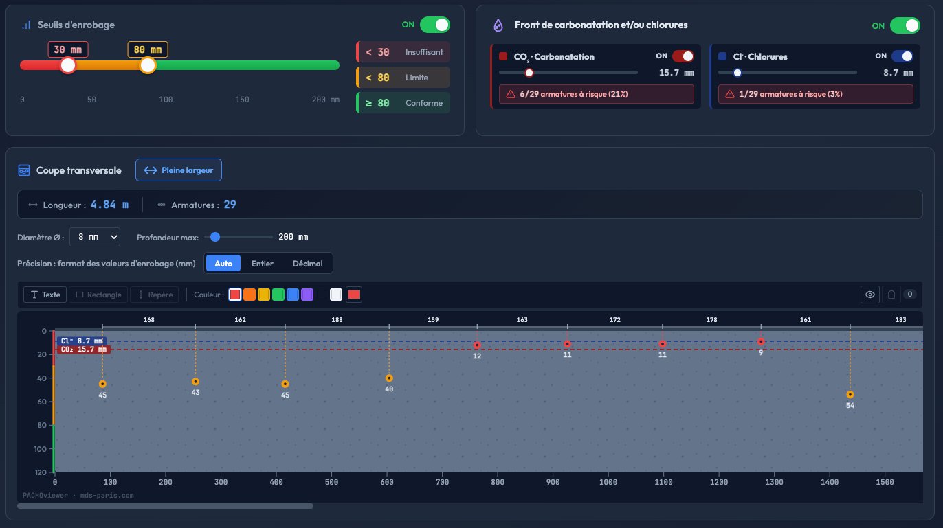 Aperçu de l'interface PACHOviewer — seuils d'enrobage, fronts de carbonatation et chlorures, coupe transversale de 29 armatures